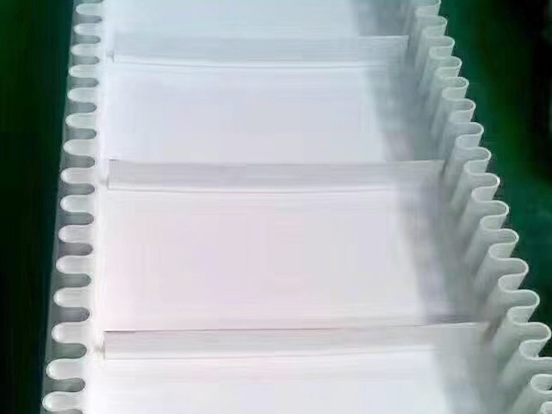 食品行業(yè)輸送機(jī)