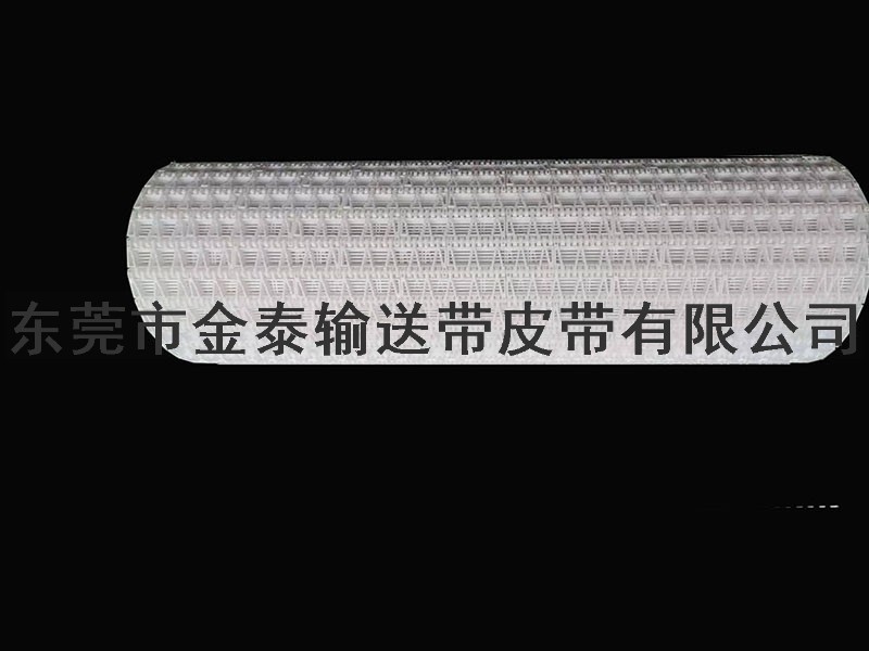  塑料鏈板輸送